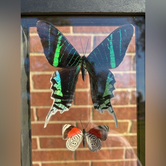 5 Butterflies Wall Hanging - Picture 4 of 10